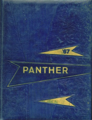 1967 Panther